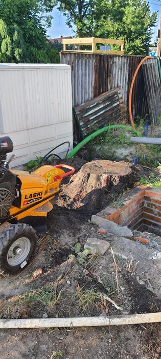 Wycinka drzew Frezowanie pni wywóz gałęzi zrębka