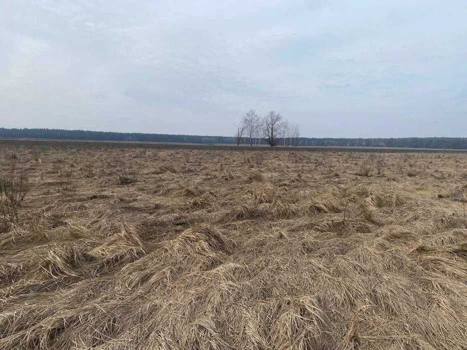Продам пай 10 га..