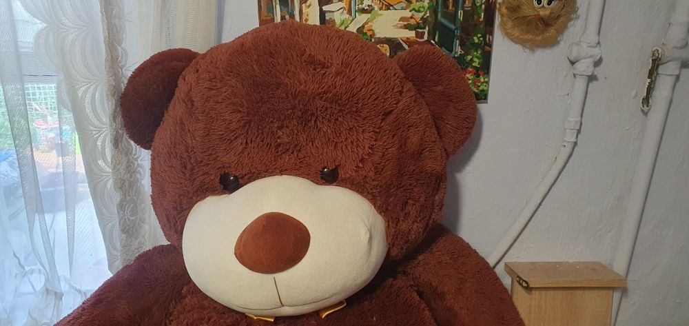 Плюшевый медведь