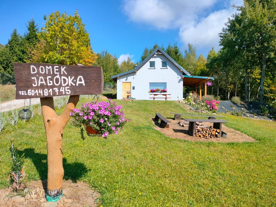 Domek " Jagódka"