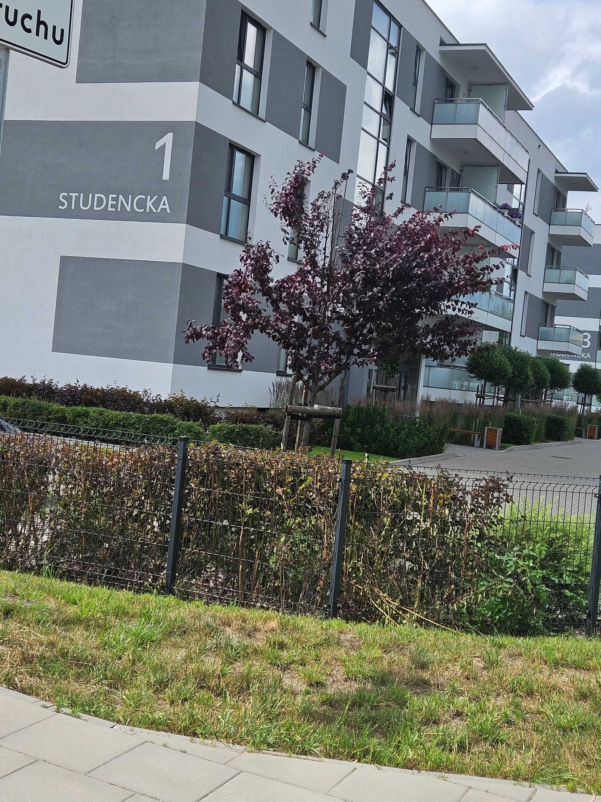 Miejsce Parkingowe przed Blokiem ul. Studencka 1 Fordon Bydgoszcz