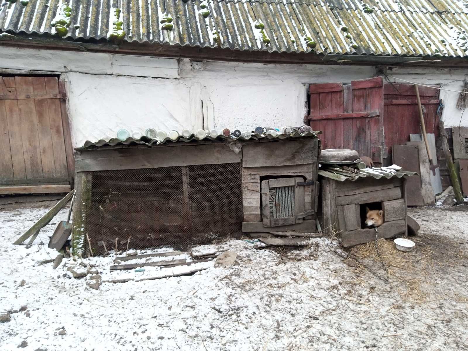 Дом в селі Дунаєць (Глухівський район)