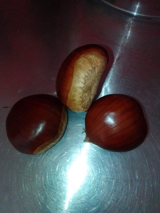 Vende se Castanhas  Boas