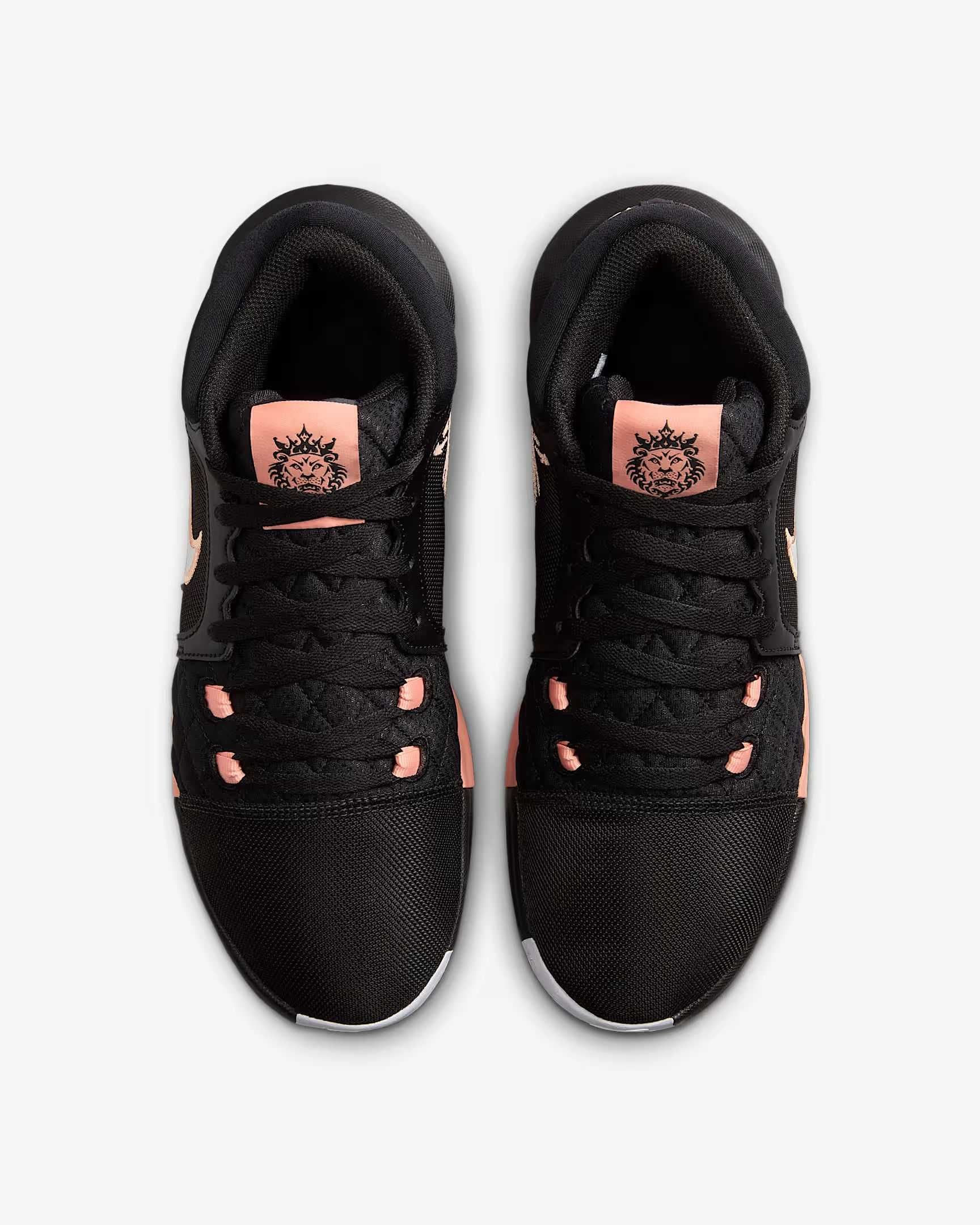 США! Кроссовки Nike Air Jordan LeBron VIII (40р по 49.5р) (HQ2139-001)