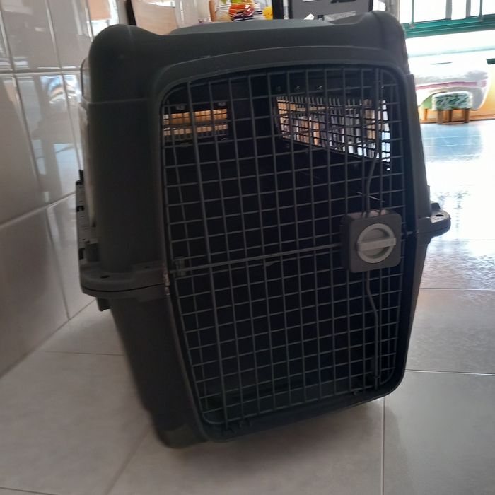 Transportadora tamanho 6