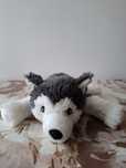 Maskotka piesek husky
