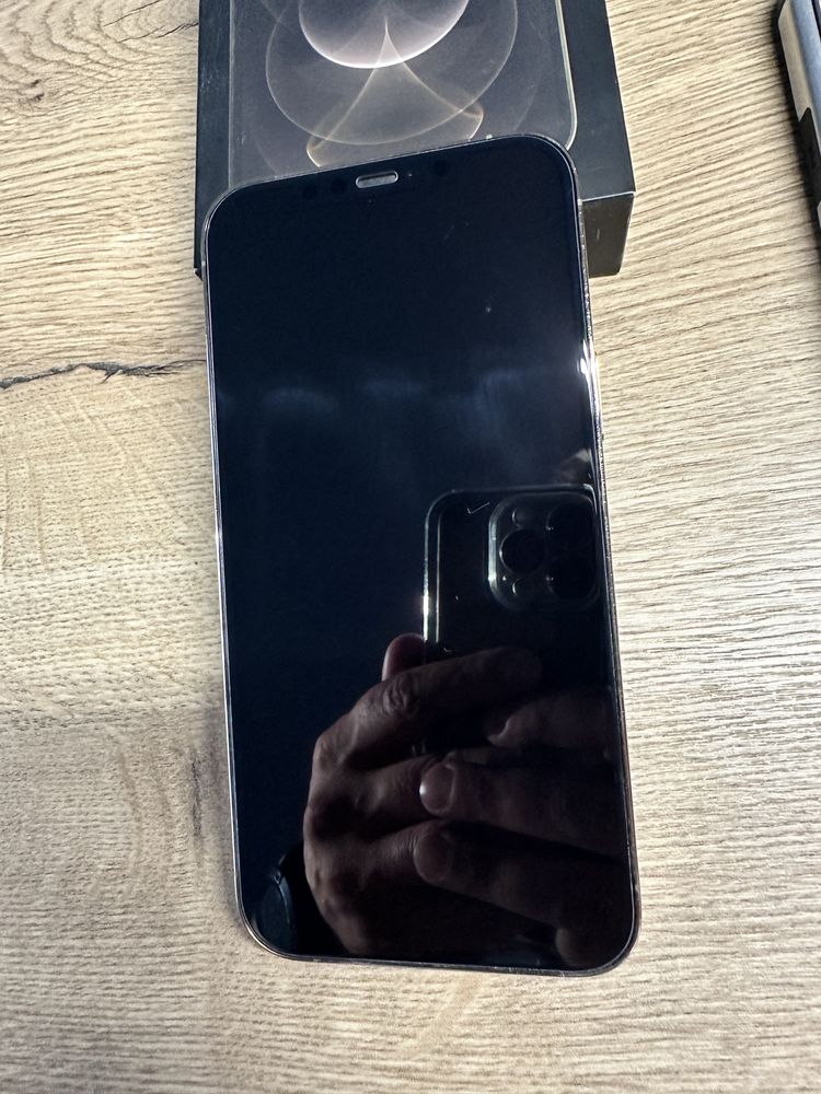 iPhone 12 Pro Max 256GB