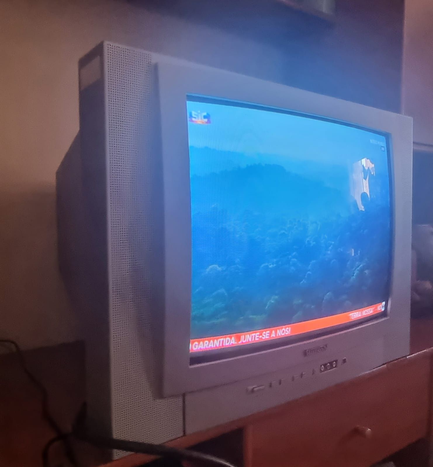 Televisão  Watson
