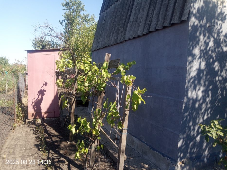 Продам дачу біля зупинки Тернуватий Кут в межах міста 44кв, Рокувата