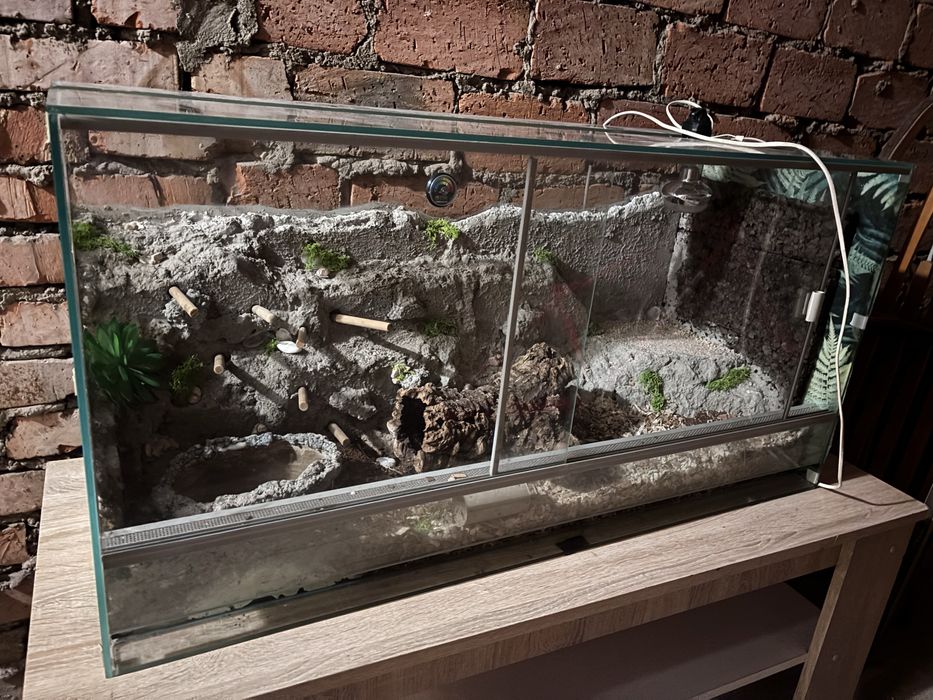 Sprzedam terrarium