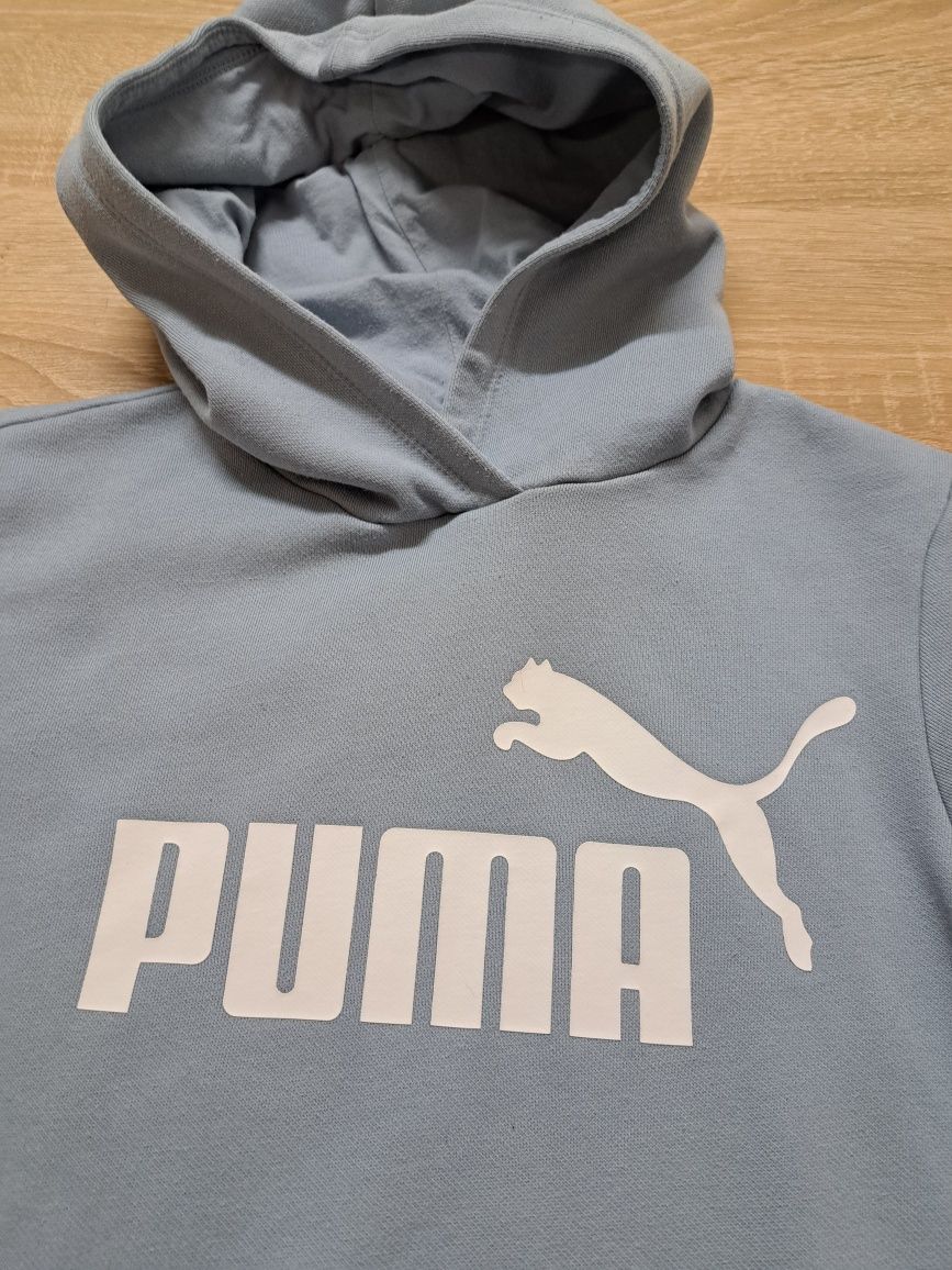 Bluza  chłopięca  Puma