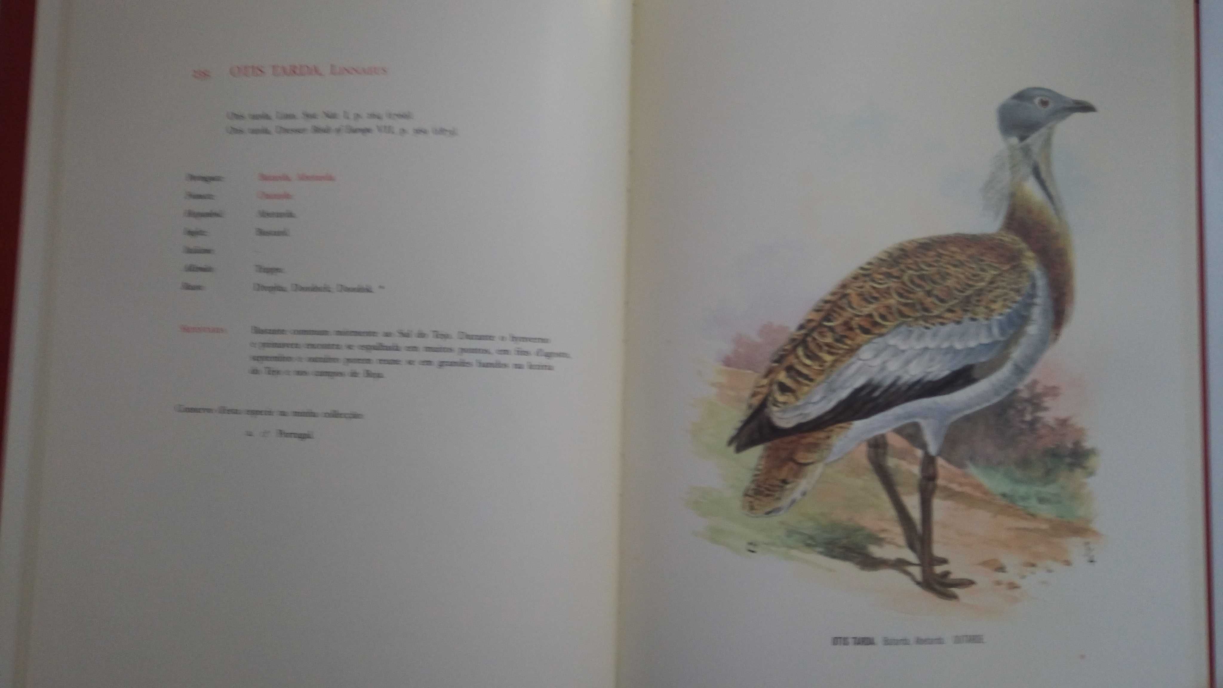 Aves de Portugal de D. Carlos de Bragança