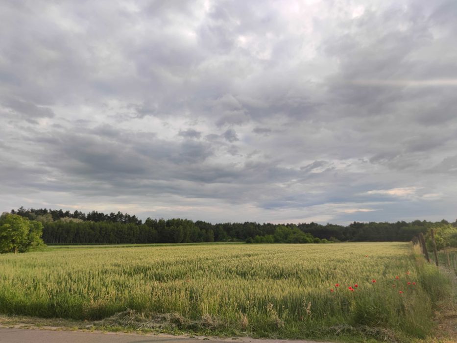 Działki budowlane Rachów Stary