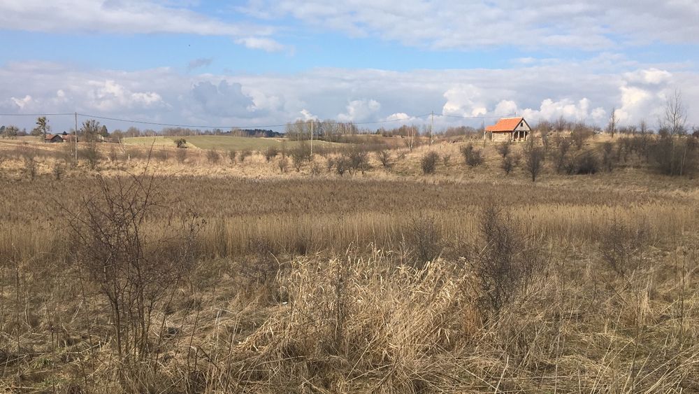 Działka 3000 m z linia brzegową stawu, Mazury ,z warunkami zabudowy na
