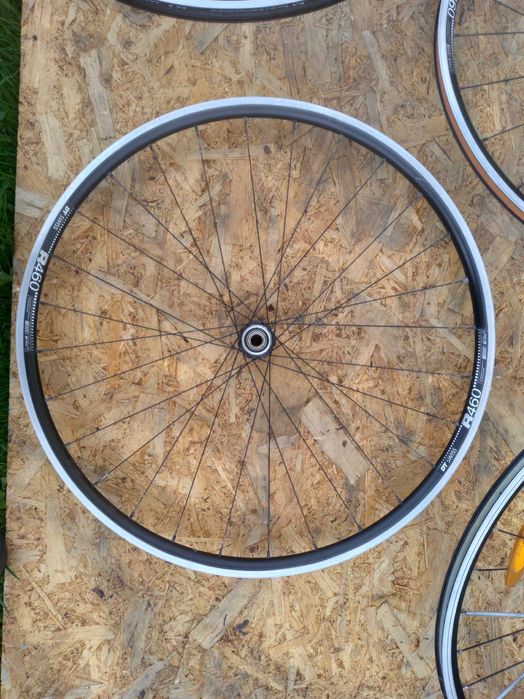 Kola Dt Swiss R 460  , Giant
