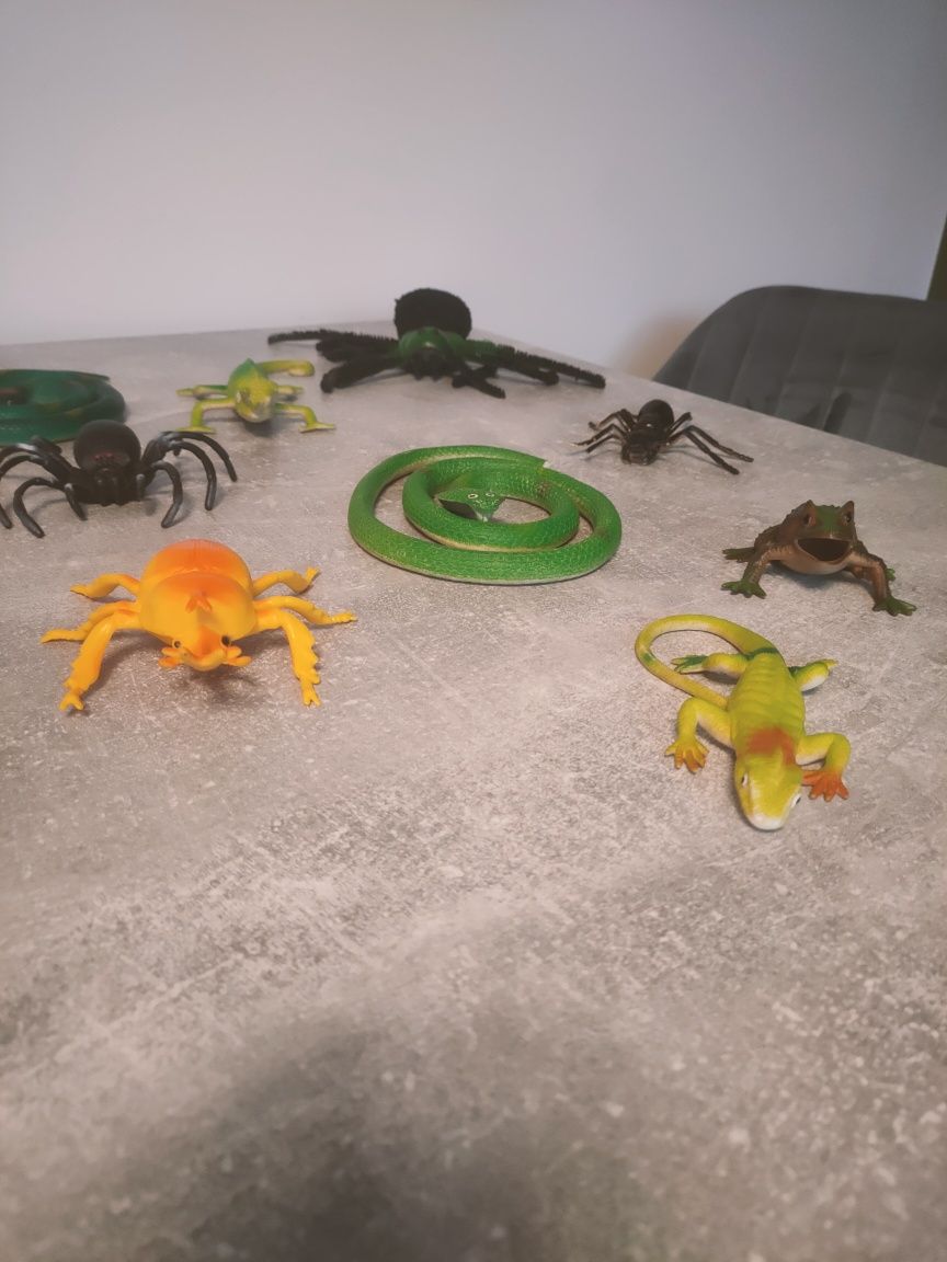 Kolekcja zabawek - płazy/owady/pająki