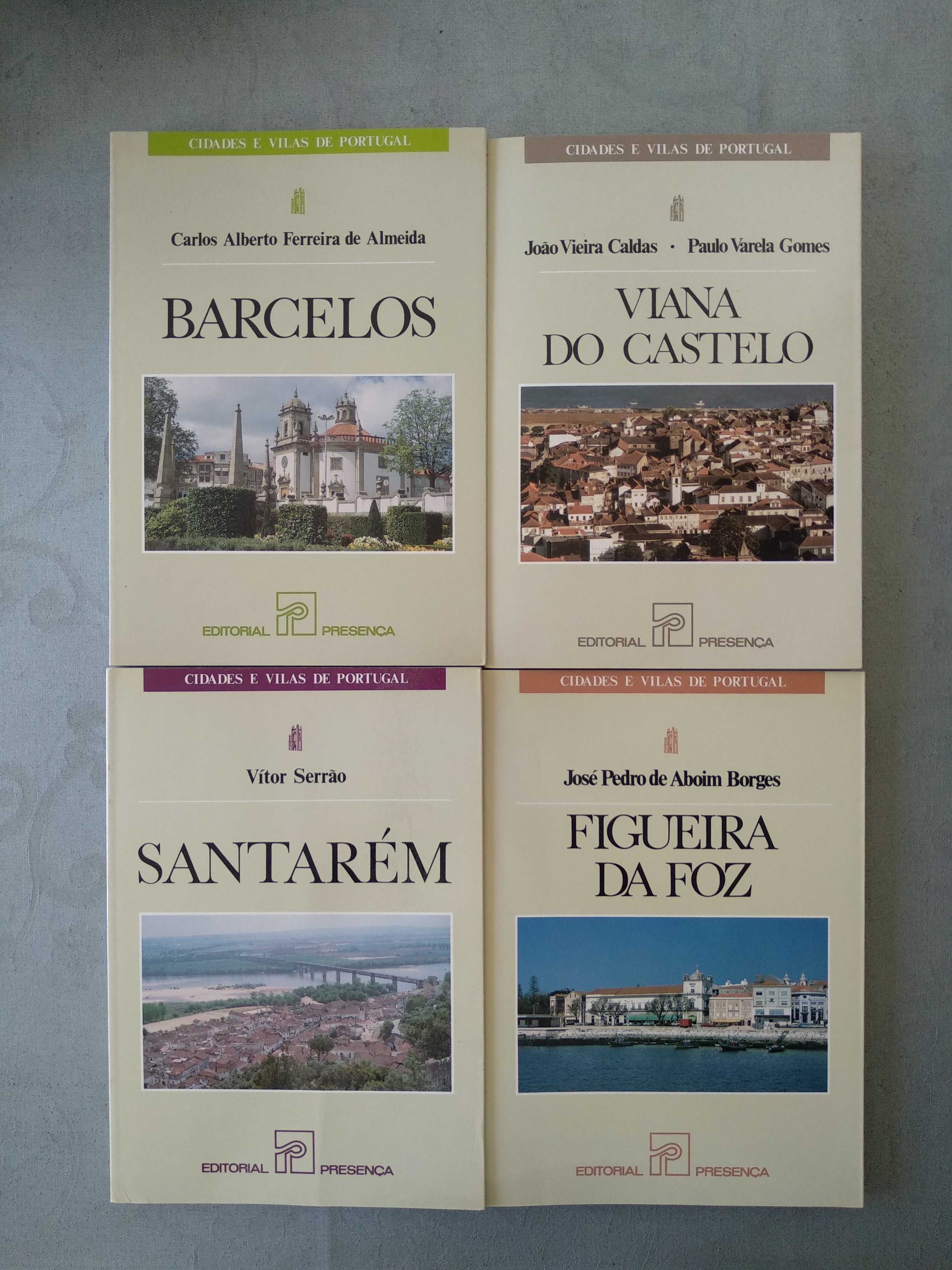 Livros de aldeias, vilas e cidades de Portugal