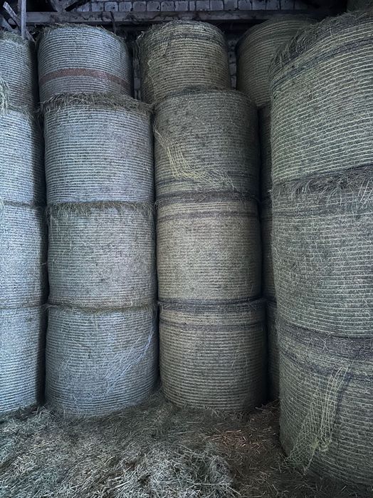 Siano, słoma w belach suche ze stodoły po prasie walcowej