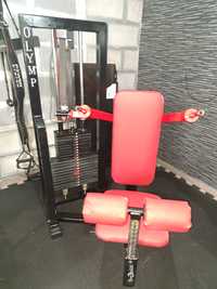 Maszyna na triceps olymp 150 kg obciążenia