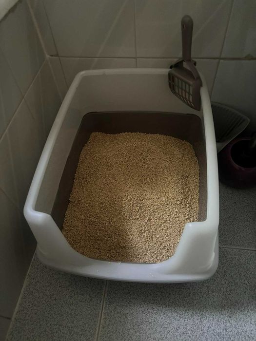 Duża pojemna kuweta otwarta dla kota zwierzęta dom kot