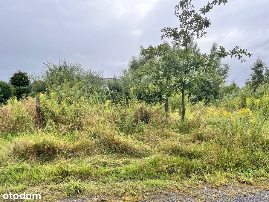 Działka Budowlana Zieleniewo -Morzyczyn