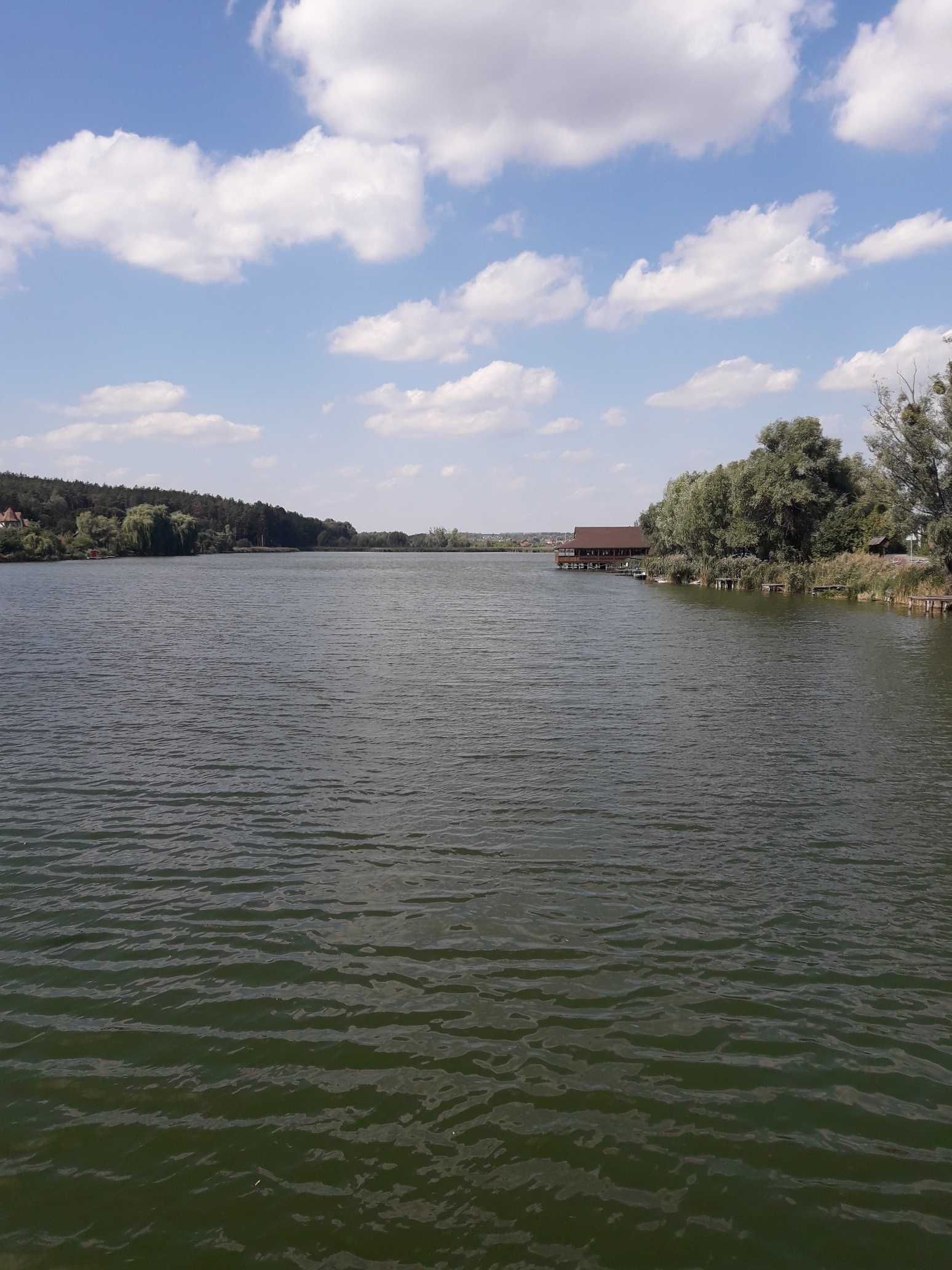 Віта поштова, район  Глейки. вул. Ярослава Мудрого. 15 соток  в лісі.