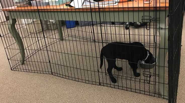 Клітка манеж с дверцятами 8-секцій для цуценят собак кішок кролика