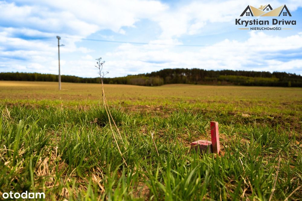 Ostatnia działka w Mściszewicach (gm. Sulęczyno)!