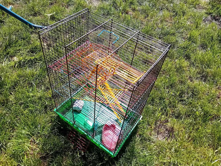 Klatka Willa/Pałac Dla Chomika/Myszki/Skoczka, Wymiary 50 x 37 x 25 cm