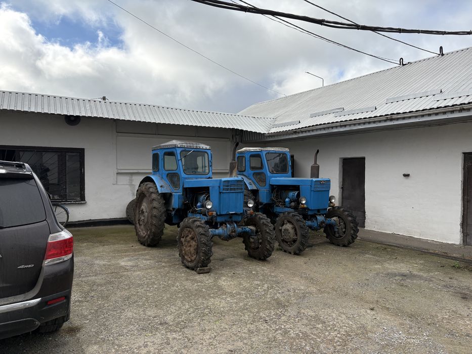 Діючий бізнес. Діюча комплексна свиноферма