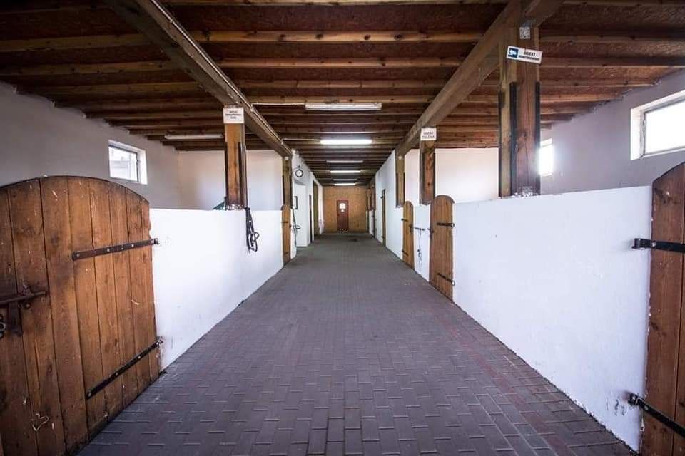 Stajnia pensjonat dla koni hotel wolny wybieg