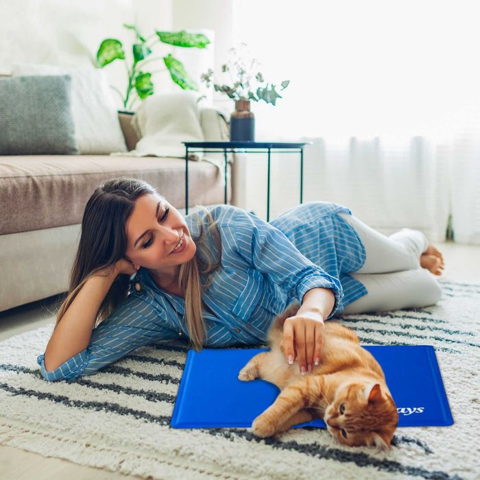 Mata żelowa dla psa lub kota