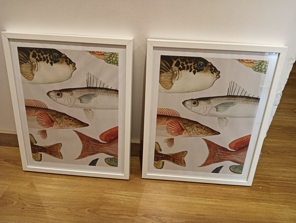 Quadros decorativos