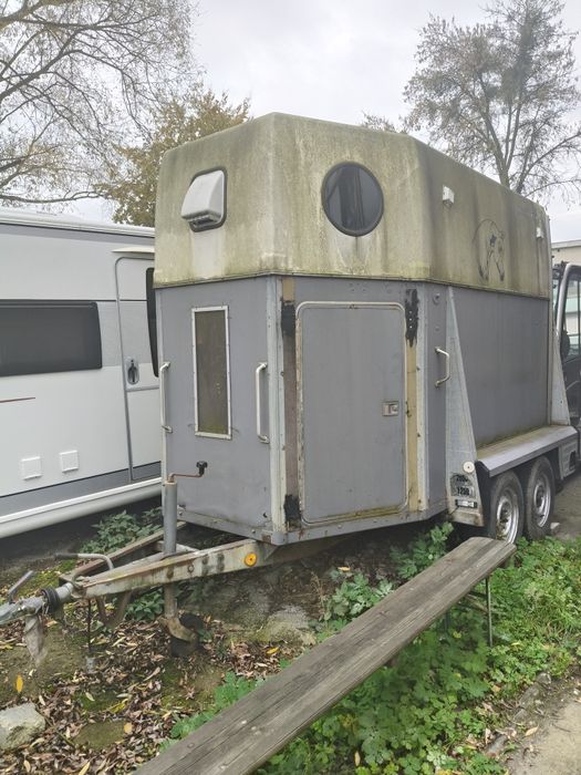 Przyczepa do przewozu koni westfalia