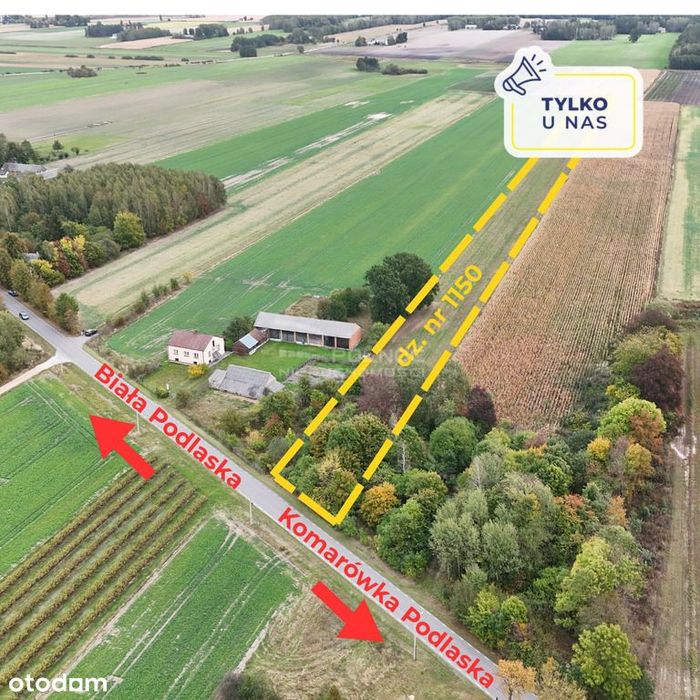Działka 1,45ha z możliwością zabudowy - Kolembrody