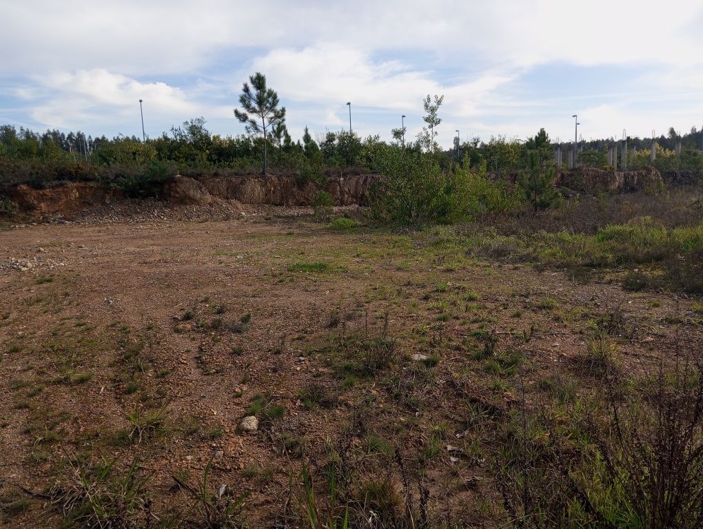 Lote Urbano Valongo do Vouga Águeda
