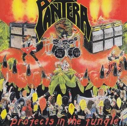 CD диски Pantera каталог № 2