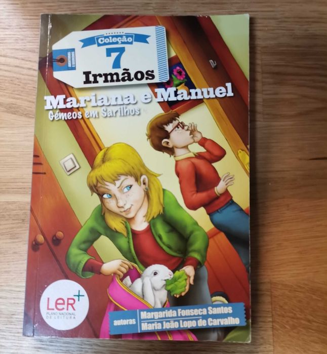Livros Juvenis Coleção 7 Irmãos
