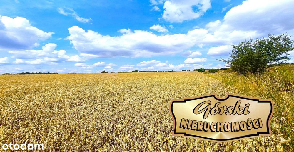 Działka, Krasnystaw