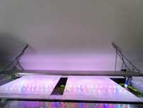 Lampka power LED diy 150cm