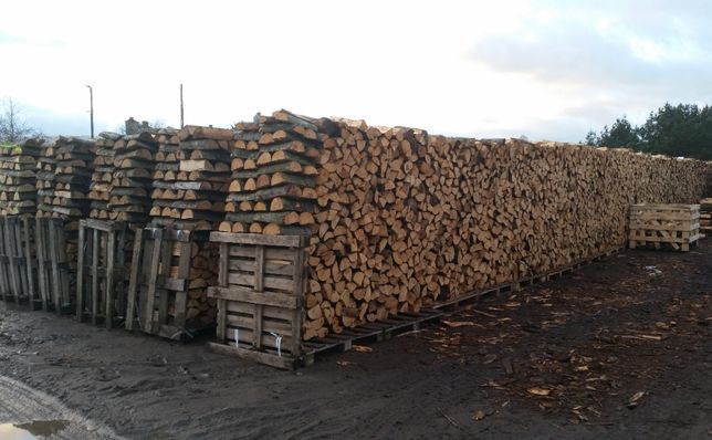 Drewno kominkowe - transport gratis buk