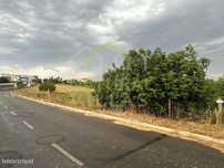 Terreno plano de potencial em Cabanas de Tavira