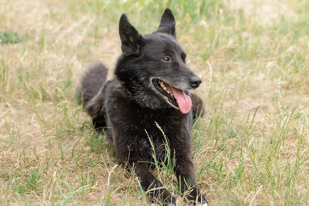 Зара шукає родину