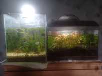 Akwarium 30L / 25L