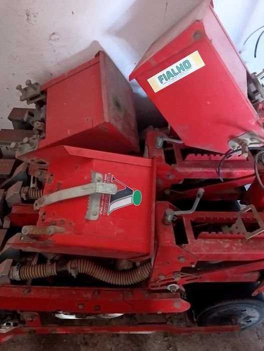 Corpos de sementeira de hortícolas