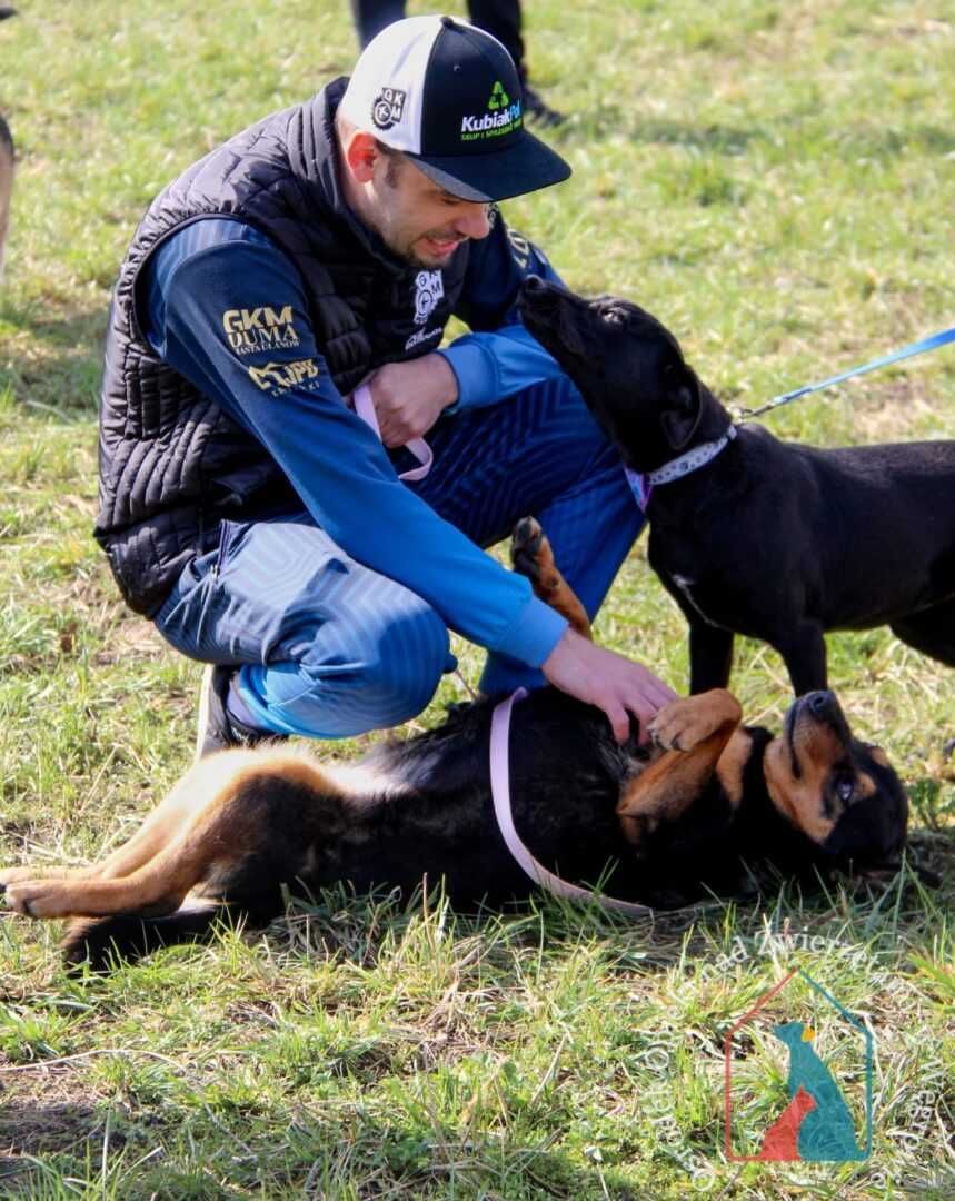 Bardzo przyjazna, wesoła, młoda sunia Kazia szuka domu!