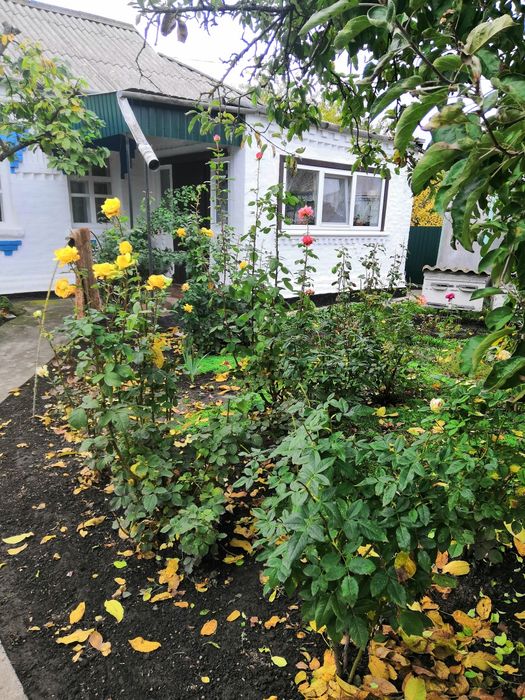 Продається будинок с. Пустовіти