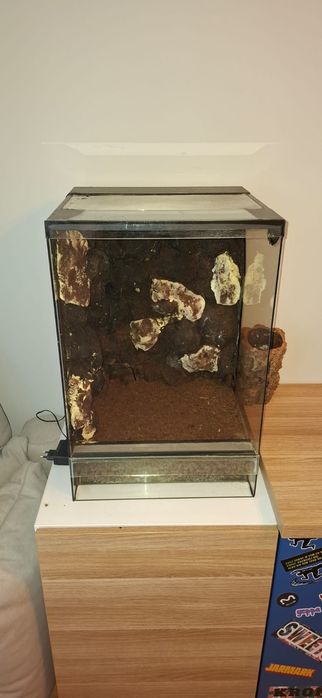 Terrarium dla gada
