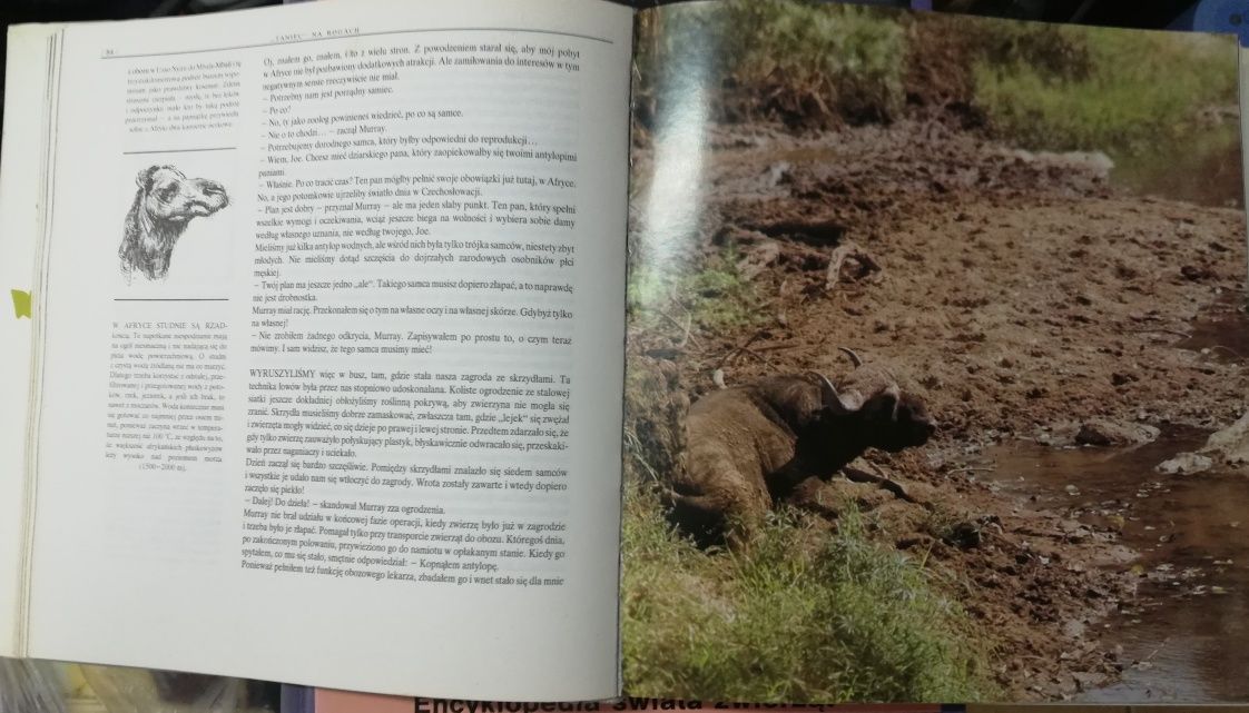 Lew nie jest królem zwierząt, kultowa książka