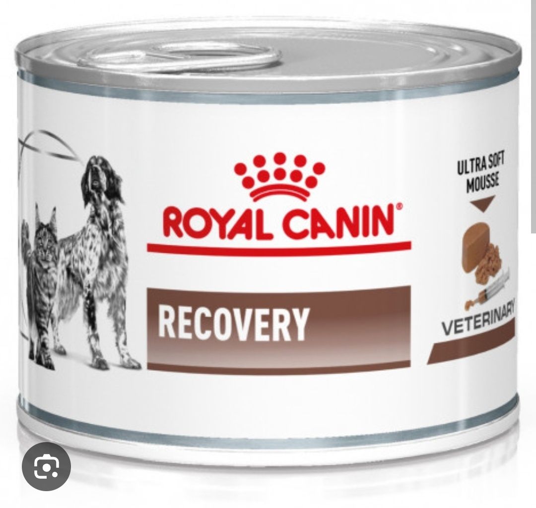 Comida Royal canin / hepática/ recovery  / nutribound